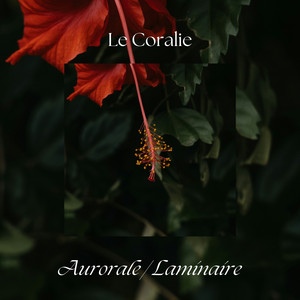 Aurorale by Le Coralie