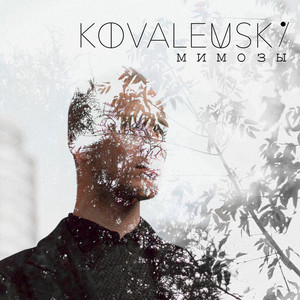 Мимозы by KOVALEVSKI