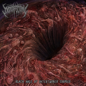 album cover: Black Hole of Intertwined Corpses