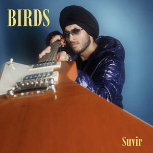BIRDS by Suvir