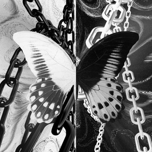 IMP Dariush - Set Me Free