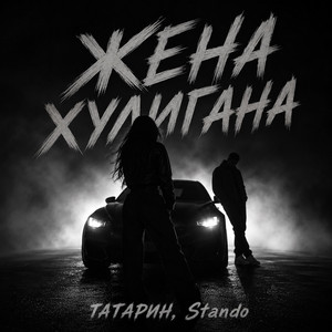 Жена хулигана by ТАТАРИН, Stando