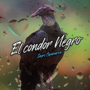 El Condor Negro by Sayri Cajamarca