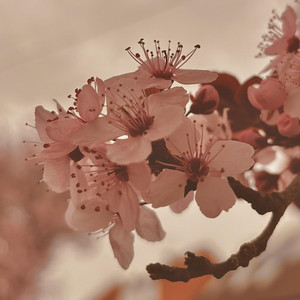 spirit hour iii by Acacian