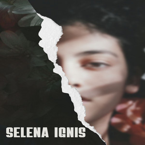Light It Up by Selena Ignis