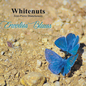 Envolées bleues