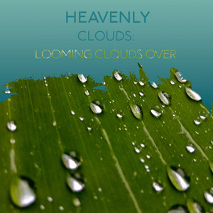 zZz Heavenly Clouds: Looming Clouds Over the Marsh zZz album