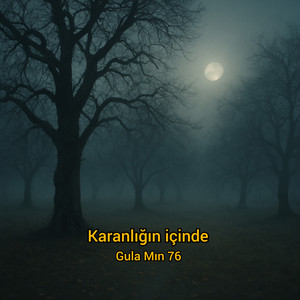Gula Mın 76 - Karanlığın İçinde