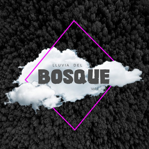 Lluvia Del Bosque Vol.II