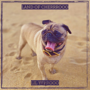 Roadside Dog - Sped Up by Lil Yerrooo