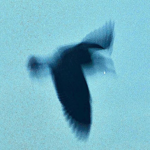 NASHIB QUE - Soft chills