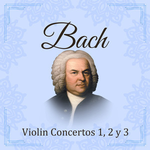 Violin Concerto in E Major, Bwv 1042: I. Allegro