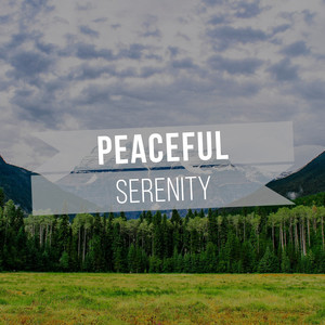 # 1 Album: Peaceful Serenity album