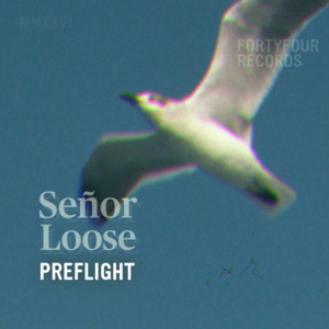Preflight by Señor Loose