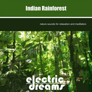 Electric Dreams - Indian Rainforest