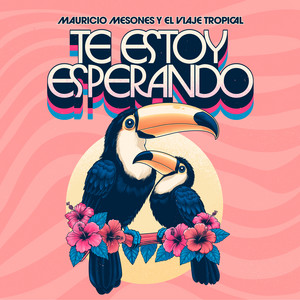 Te estoy esperando — cover art by Mauricio Mesones