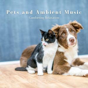 Pets and Ambient Music: Comforting Relaxation album