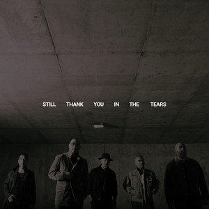 Still Thank You In The Tears by The Katinas