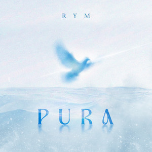 RYM & Ilyas elmaliki - Wswass (Bonus Track)