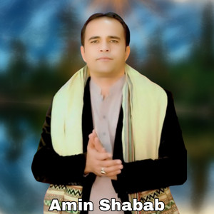 Amin Shabab - Ham Zar Ham Zewar