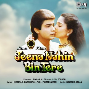 Udit Narayan & Sadhana Sargam - Udhte Phire Hum Tum