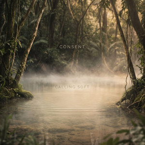 Calling Soft by Consent