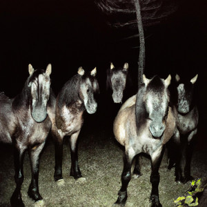 Caballos Salvajes by MOMZ