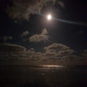 El Davidsito & Ramcy RMc - 2026 (feat. Albeiro T.P.)