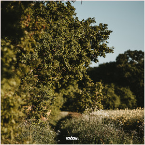Aura by Raban
