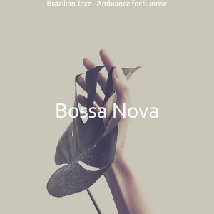 Brazilian Jazz - Ambiance for Sunrise album