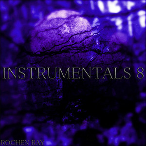 Rochen Ray - Extra Beatdizzles