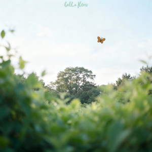 Vana - Noise by Calla Koru