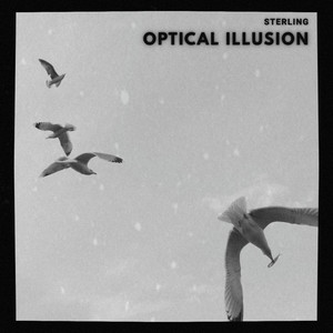 Optical Illusion - Radio Edit by Sterling