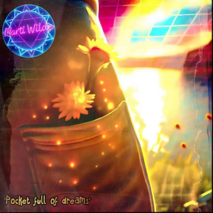 'Pocket full of dreams' by Marti Wilde