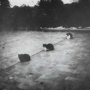 LiNza — Вимикач