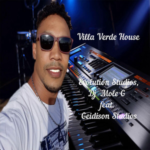 Villa Verde House by Evolution Studios 017, DJ MOLE G, Geidison Studios