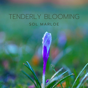 Tenderly Blooming by Sol Marloe