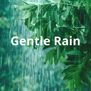Gentle Rain by Naturliebe
