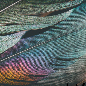 pluma azul by yimyisntrumens-2