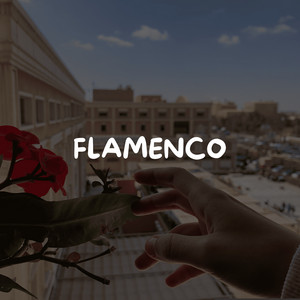 flamenco by pedroz flow