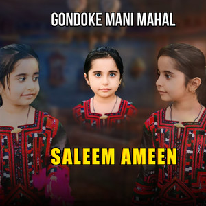 Saleem Ameen - CONDOKE MANI MAHAL