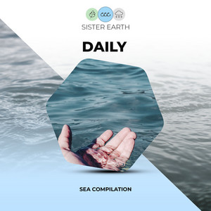 Daily Sea Compilation album
