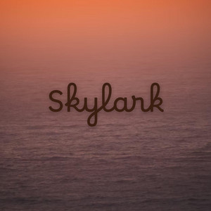 Skylark by Edward Cain