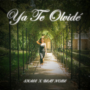 Ya Te Olvidé by Snaee, beat noise