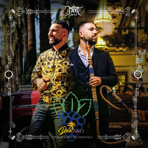 Delikanlı (Traubeminztrumentals) album