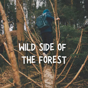 Sounds of Nature: Wild Side of the Forest album