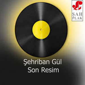 Şehriban Gül - Vayle