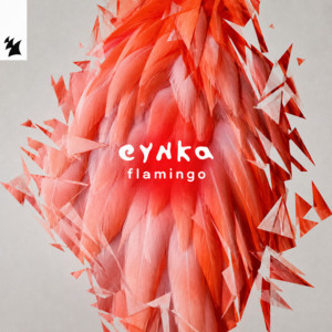 Eynka — Flamingo (2026)