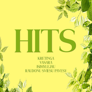 Grupė HITS - Vasara