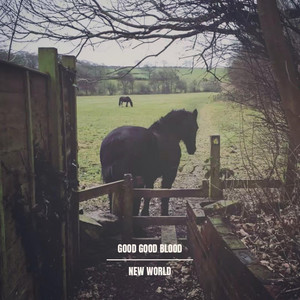 Mary by Good Good Blood
